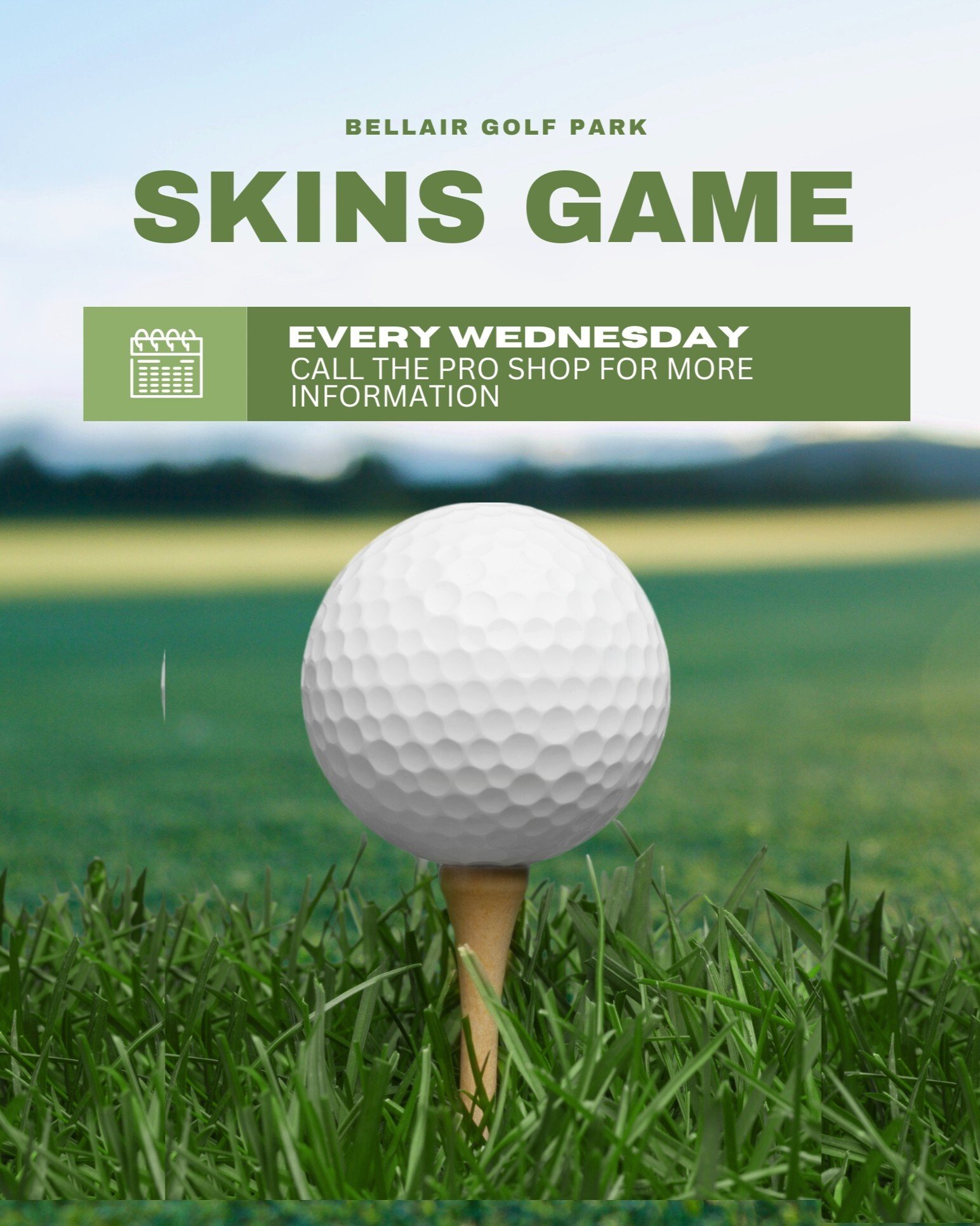 Minimalist Golf Tournament Poster